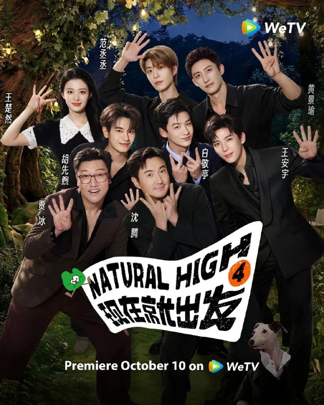#综艺
