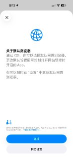 慢讯：新的公测版添加了对默认浏览器设置的引导界面。
