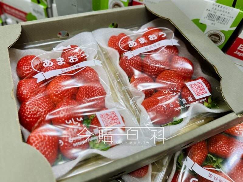 新品完整情報 