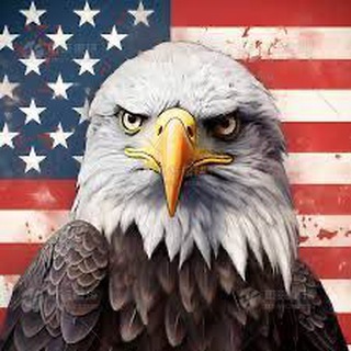 Telegram profile photo for America 🇺🇸 News & Politics