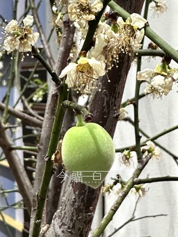 新品情報看這裡 