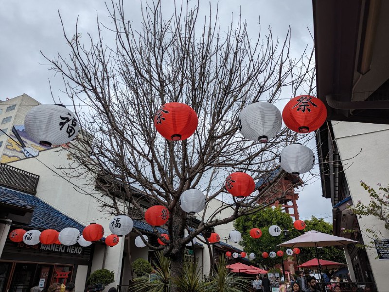 Little Tokyo 這家米芝蓮烏冬比上次溫哥華那家更好，好久沒試過這麼地道的味噌，也許是這個街區確實有很多日本人聚居之故，彷佛回家了🥹Little Tokyo 這家米芝蓮烏冬比上次溫哥華那家更好，好久沒試過這麼地道的味噌，也許是這個街區確實有很多日本人聚居之故，彷佛回家了🥹