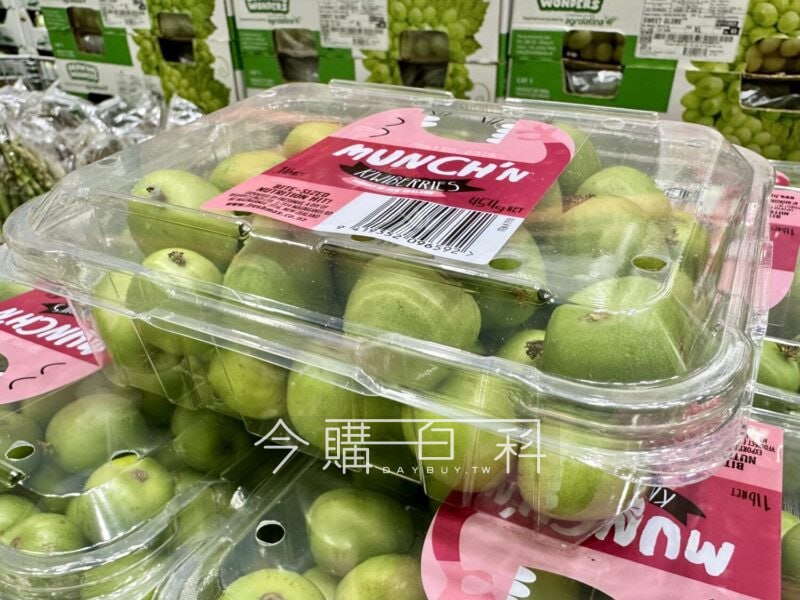 優惠完整情報 