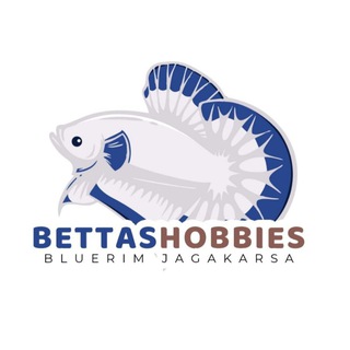 Bettashobbies LelangBluerim‼️🏆
