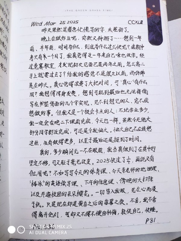 媒体预览
