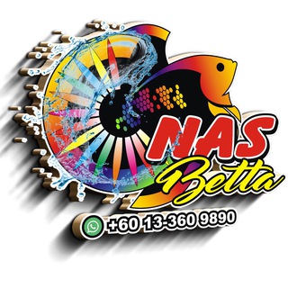 NAS BETTA | BIDDING & SALE 🐠🇲🇾