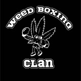 Weekend boxing