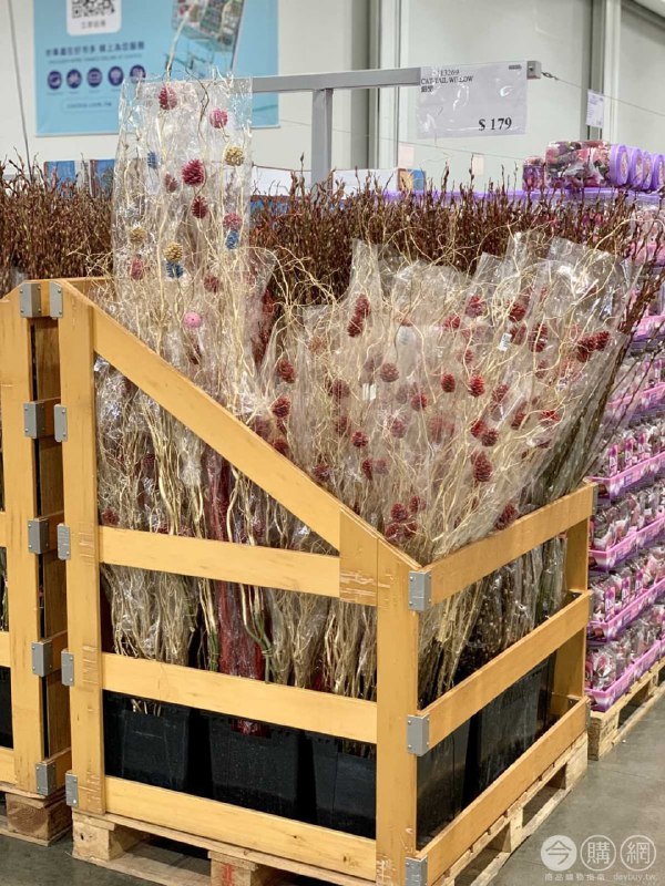 新品情報連結 