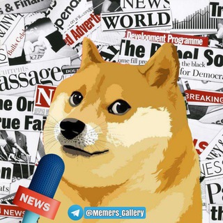 NewZ Gallery | News Gallery ™ Telegram channel profile photo