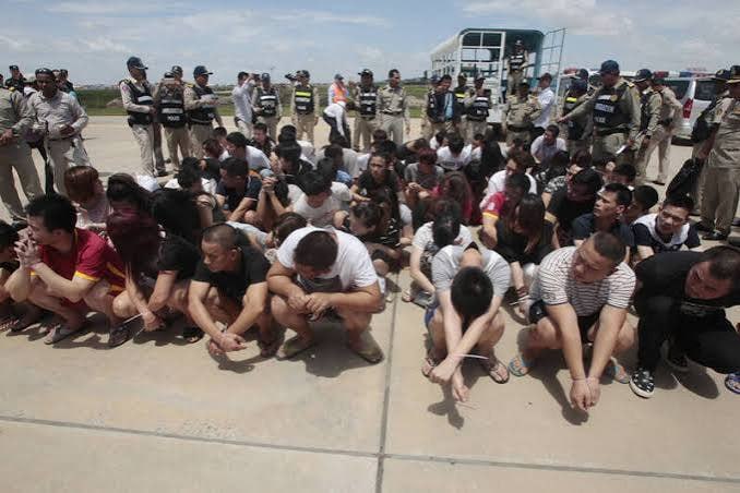 金边大事件：柬埔寨公布两年跨境犯罪数据 1355案2119人被抓 8月14日 柬配图