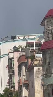 跳个楼坐那里半天不跳，整条路都堵死了，拍个视频警察还抢手机删掉，不然就要到我家查水表，无语😅感谢家人们投稿！