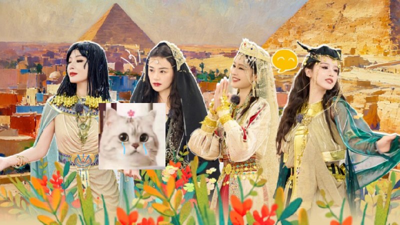 花儿与少年同心季