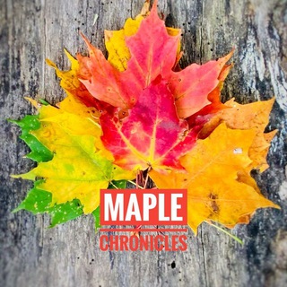 Student Visa & Work Permit Telegram Group Link