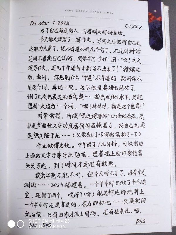 媒体预览