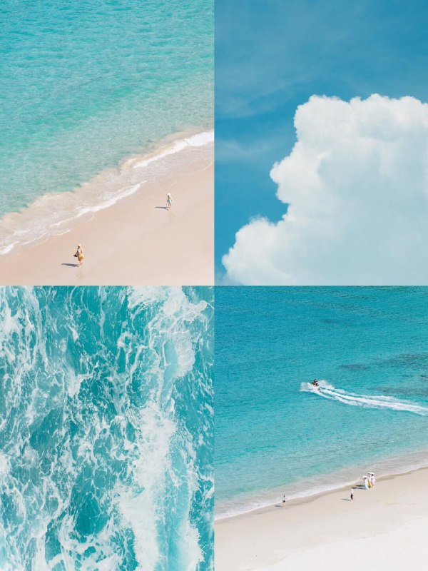 春之绚烂夏之热烈秋之静美冬之纯净春之绚烂夏之热烈秋之静美冬之纯净