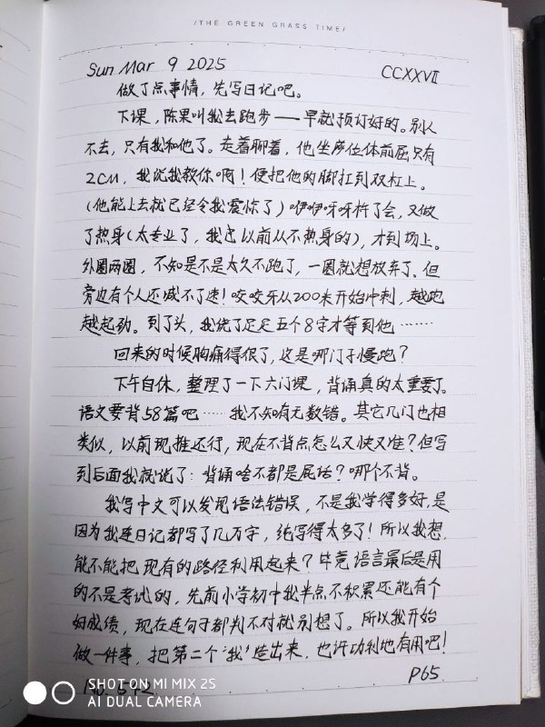 媒体预览