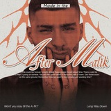 Made in the AfterMalik