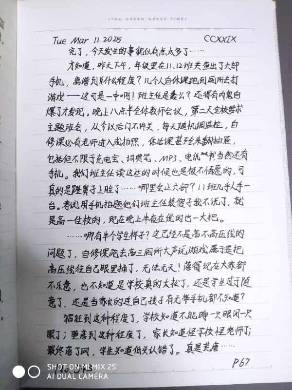 媒体预览
