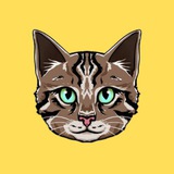 Vitaliks Cat