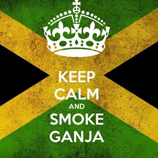 Jamaica_Kiev_4_2_0 💚 Telegram Group Link