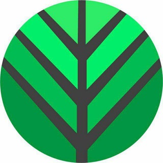 @BigBrandTree Telegram Group Link