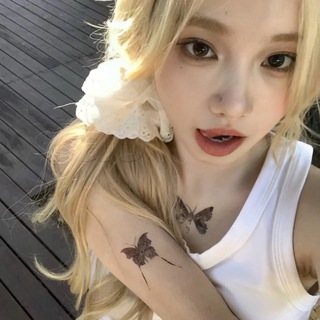 木木的后宫