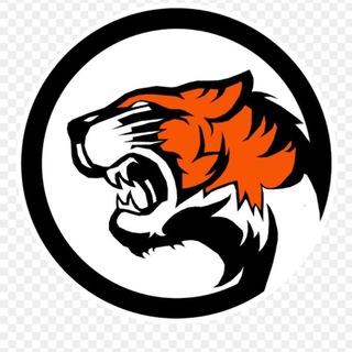 PAYTM CASH EARNING Telegram Group Link