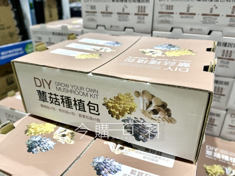 優惠情報連結 