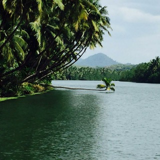 Bangalore Weekend Travellers/Trekkers ☔️ Telegram Group Link