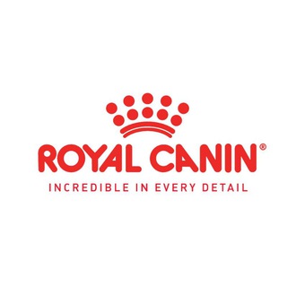 Cats, dogs , birds food and accessories buy online Telegram Group Link