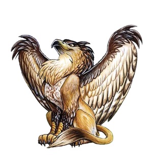 澳洲香港人 頻道 Telegram Group Link