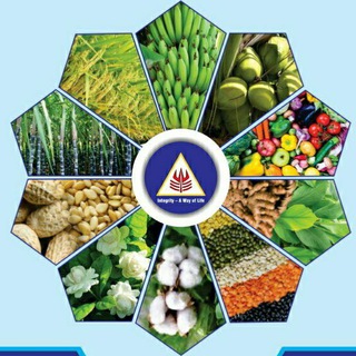 ஒருங்கிணைந்த மண் வள மேலாண்மை