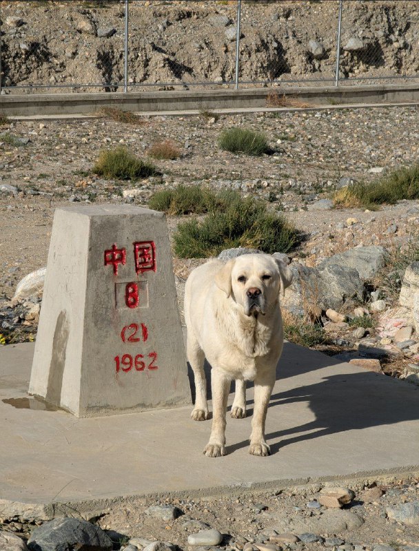 普蘭縣城本不在行程中，體驗卻還挺特別的