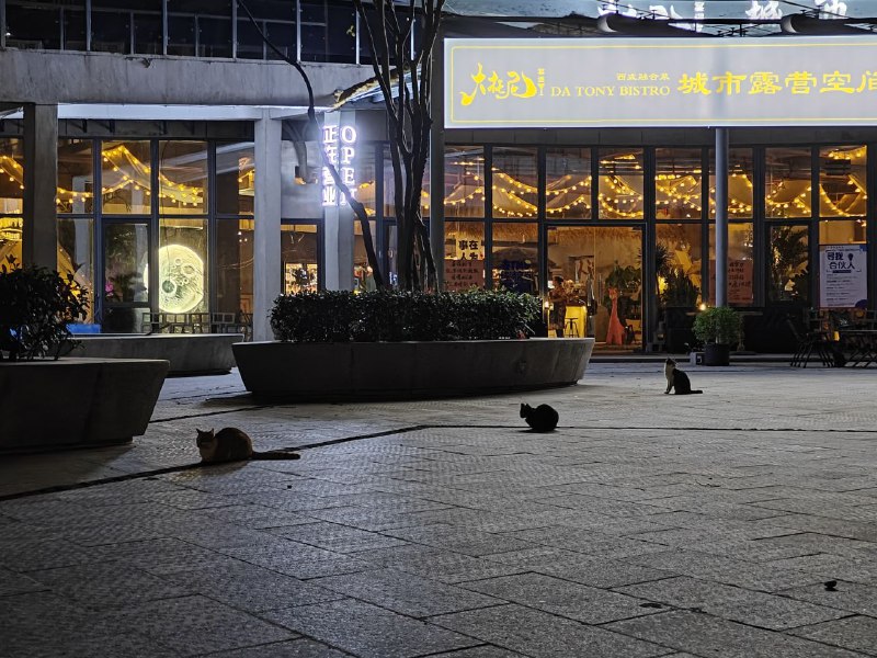 #大托尼露营酒馆#喝酒#看球#西餐#大托尼露营酒馆#喝酒#看球#西餐