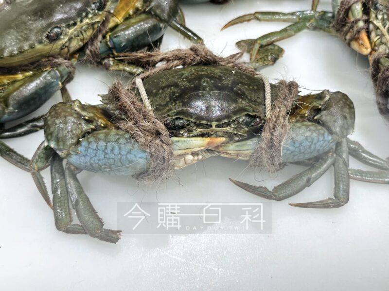 新品情報連結 
