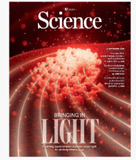 Science-11.09.2025⚠️Paul Mischel团队发现肿瘤中异常的环状DNA可加速癌症进化、帮助肿瘤躲避治疗，且在胶质母细胞瘤、胃癌等多种癌症中高发；2000-2020年，全球超50%森林的碎片化程度加剧，主要源于土地利用变化，导致栖息地连接性下降，威胁生物多样性；永久冻土融化释放硫化物，氧化形成硫酸，溶解岩石中的铁、铝、镉等金属，使鲑鱼河等河流金属浓度超标，威胁水生生物....📌Download #科学