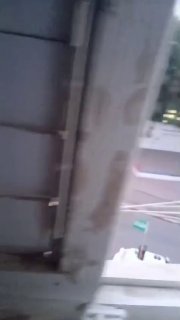 בדואי הנגב יוצאים בהרכב מלא להצביע בבחירות הללו.