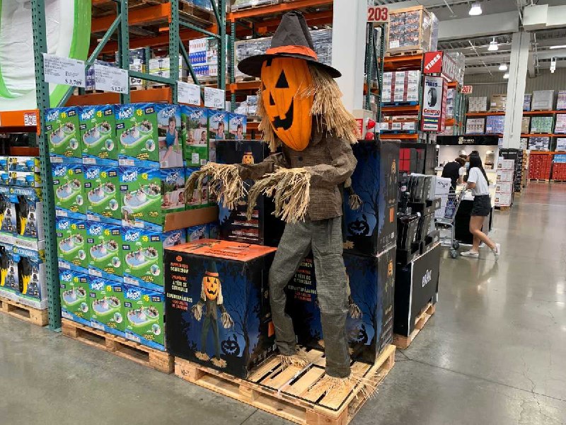 #Costco好市多8月新品通知萬聖節南瓜稻草人 #2006047