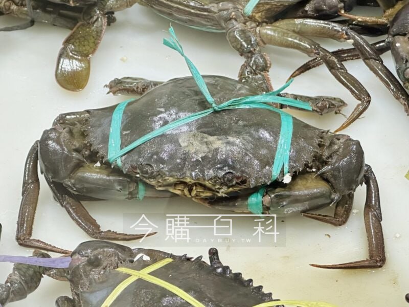 新品情報連結 