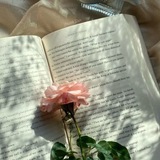 Testimoni & Feed @nayyviera