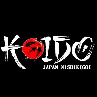 KOIDO JAPAN NISHIKIGOI