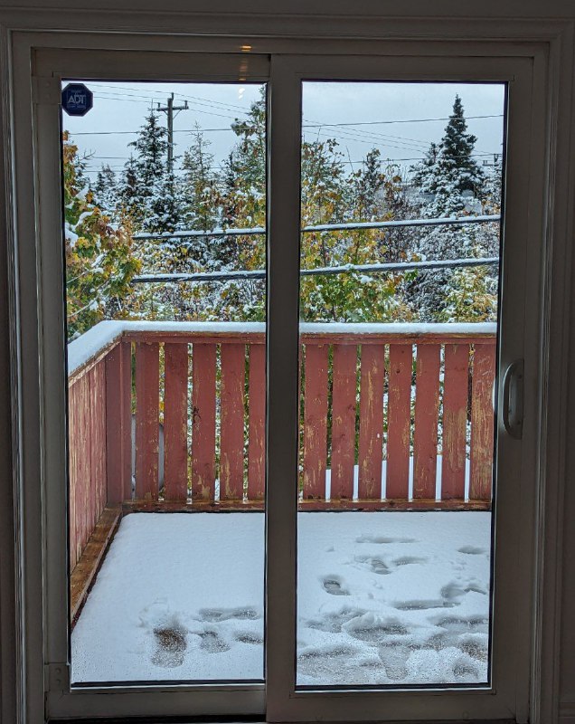 初雪了，今年主打一個白色萬聖節的概念......