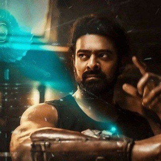 Telegram profile photo for Movie Network