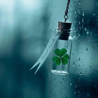 Disscus about ComputerBuddy Telegram Group Link