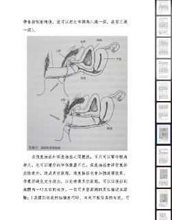 上次的14招性技知识竟然几千人感兴趣并且收藏。来了，这本《男性多重高潮》是前段时间很流行的电子书。本书讲了很多技巧的知识，让你了解和深入实操。链接：https://pan.quark.cn/s/52614ff21795