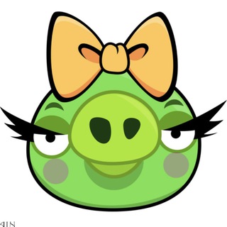 MxPiggy抹茶猪BSC家人讨论组