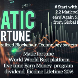 Matic Fortune Global