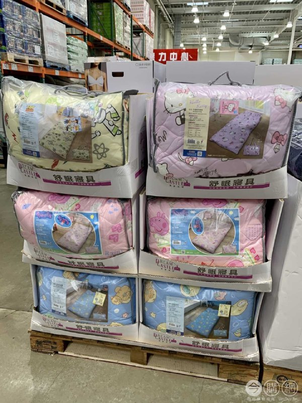 110/08/22 Costco新商品通知卡通兒童睡袋 #111840
