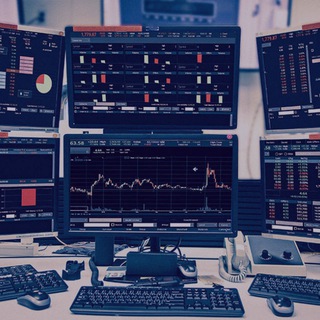 D-Capital (Exness Social_Copy trading)