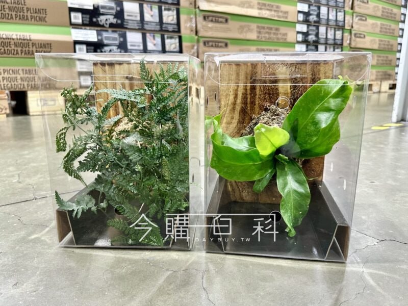 新品詳情看這裡 